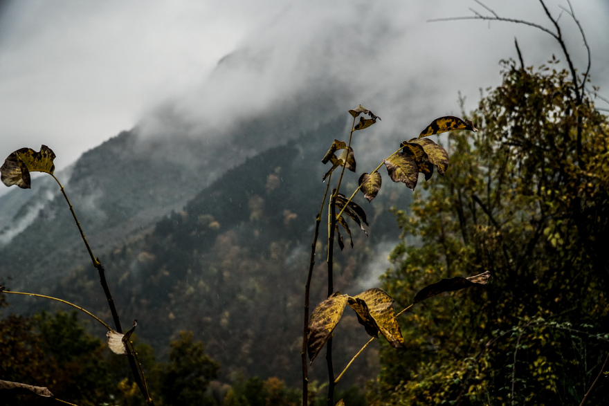 Καιρός: Νύχτα αγωνίας στην Αττική - Καταιγίδες και ισχυροί άνεμοι