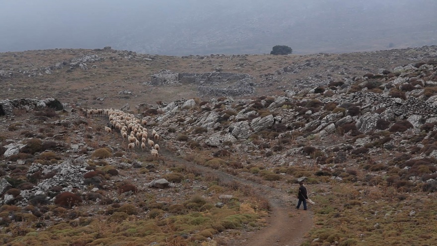 «Το Παλατάκι των Αορίων»: Η κινηματογραφική καταγραφή της αναγέννησης ενός ξεχασμένου χωριού