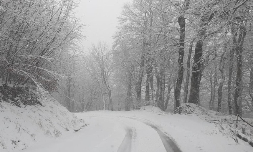 Καιρός: Νύχτα αγωνίας στην Αττική - Καταιγίδες και ισχυροί άνεμοι
