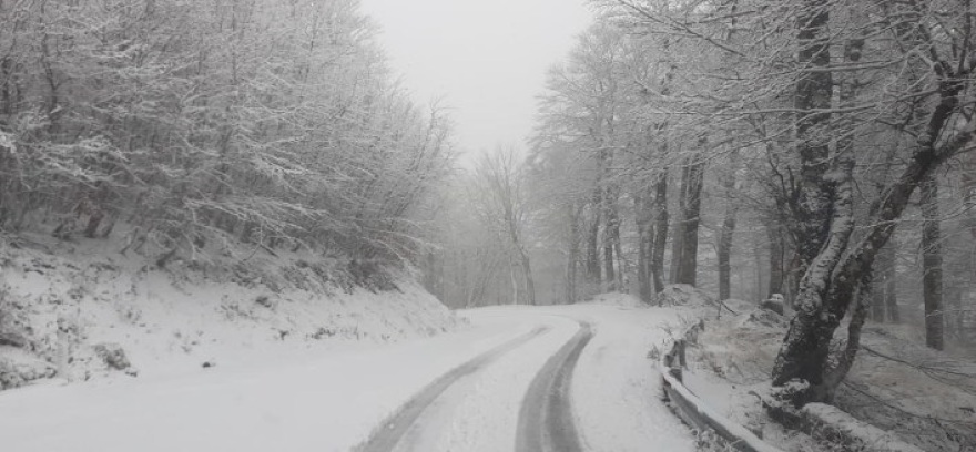 Καιρός: Νύχτα αγωνίας στην Αττική - Καταιγίδες και ισχυροί άνεμοι