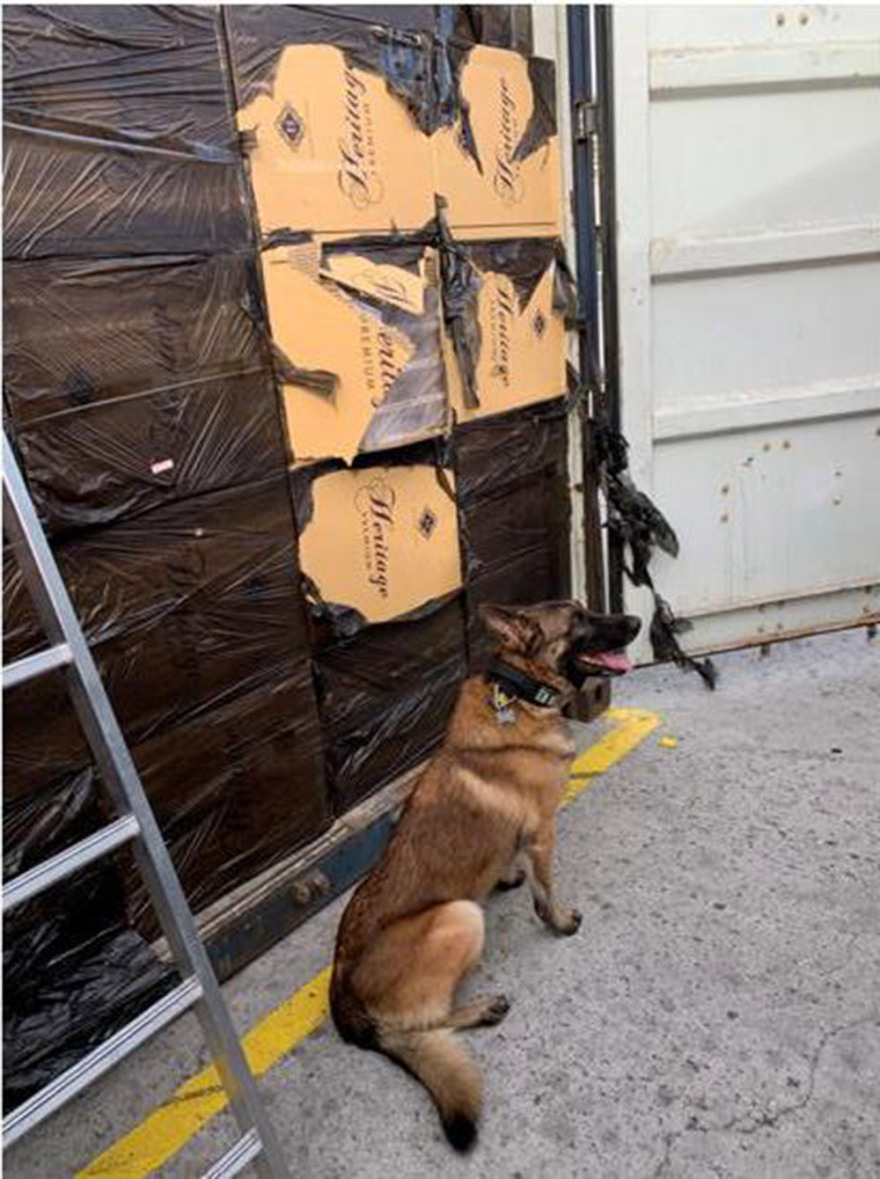 Διεθνές κύκλωμα λαθραίων τσιγάρων εντόπισε η ΑΑΔΕ