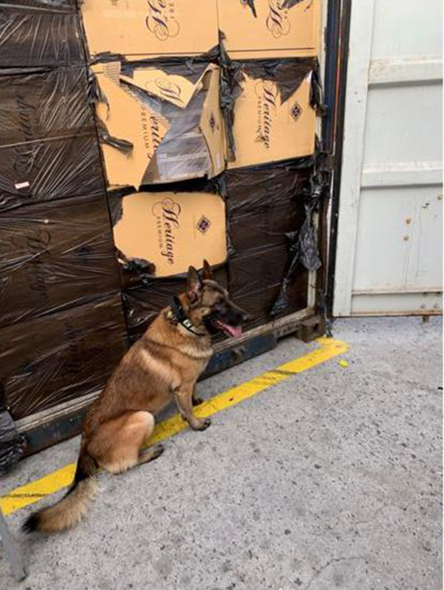 Διεθνές κύκλωμα λαθραίων τσιγάρων εντόπισε η ΑΑΔΕ