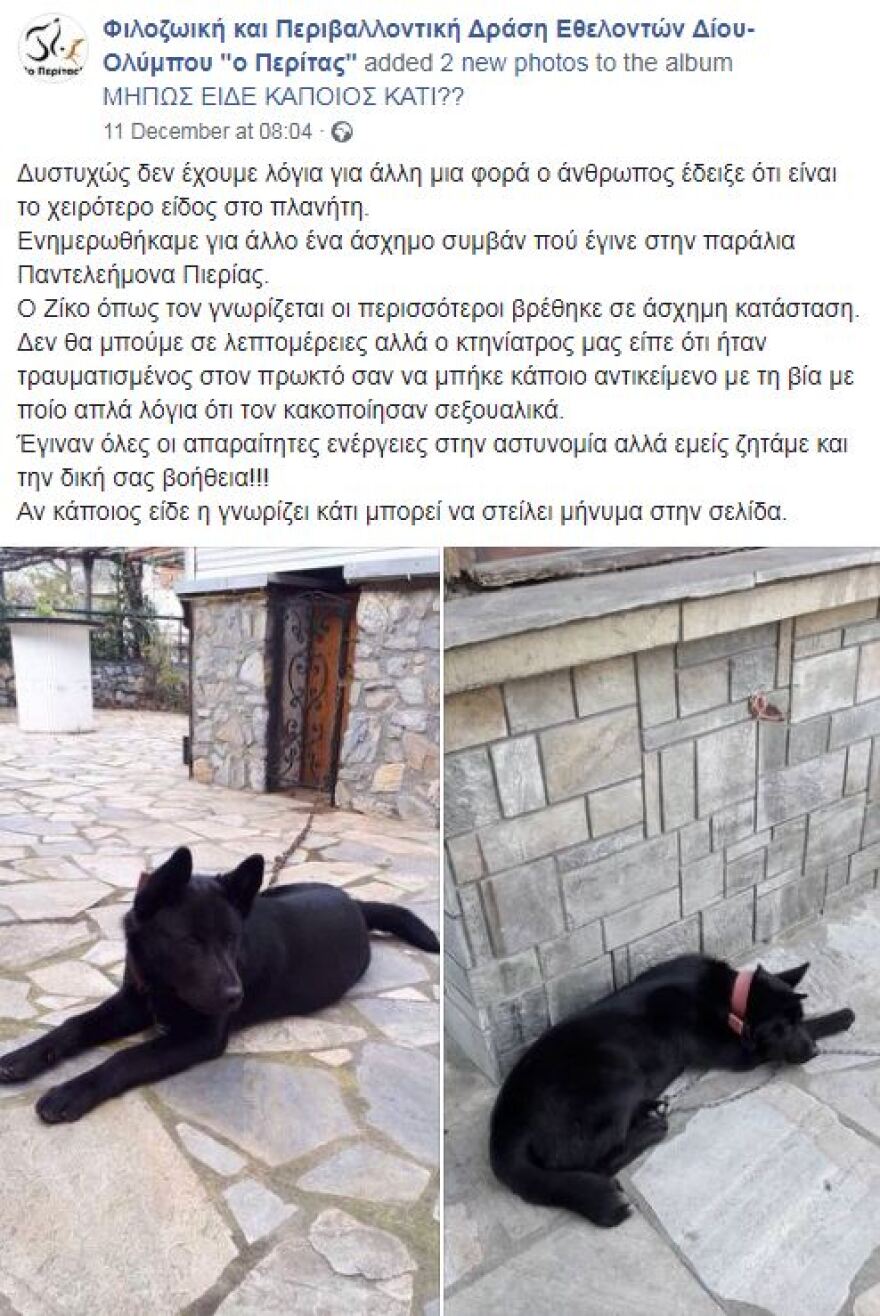 Σοκ στην Πιερία: Βίασαν σκύλο στην παραλία Παντελεήμονα