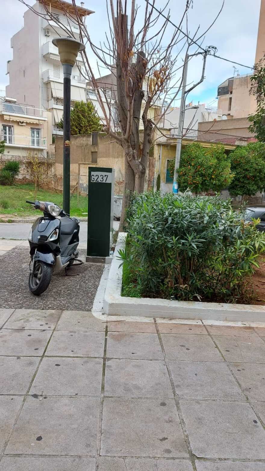 Θρίλερ στο Κερατσίνι με τον αλλοδαπό που βρέθηκε απαγχονισμένος σε δέντρο