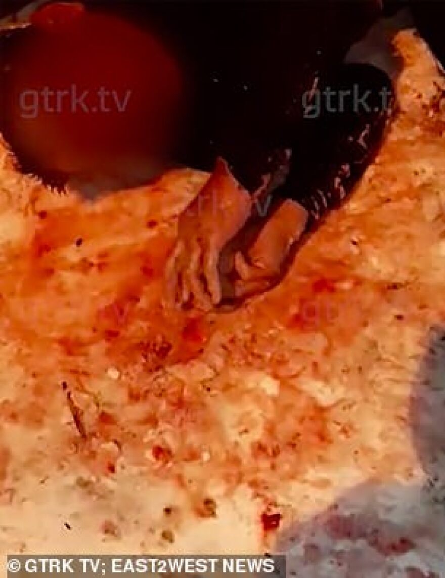 Ρωσία: Μηχανικός που σκότωσε στο ξύλο παιδόφιλο σώζοντας ανήλικο αντιμετωπίζει ποινή φυλάκισης 15 ετών