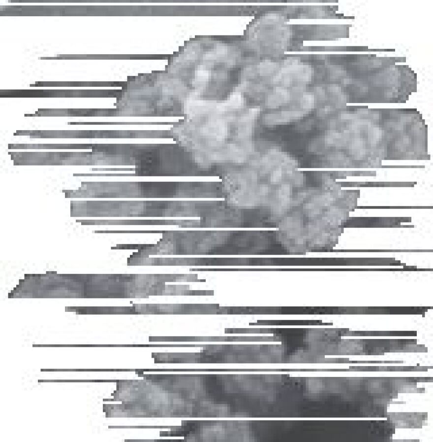 Κορωνοϊός: Δείτε φωτογραφίες πώς προσβάλλει τα κύτταρα του αναπνευστικού 