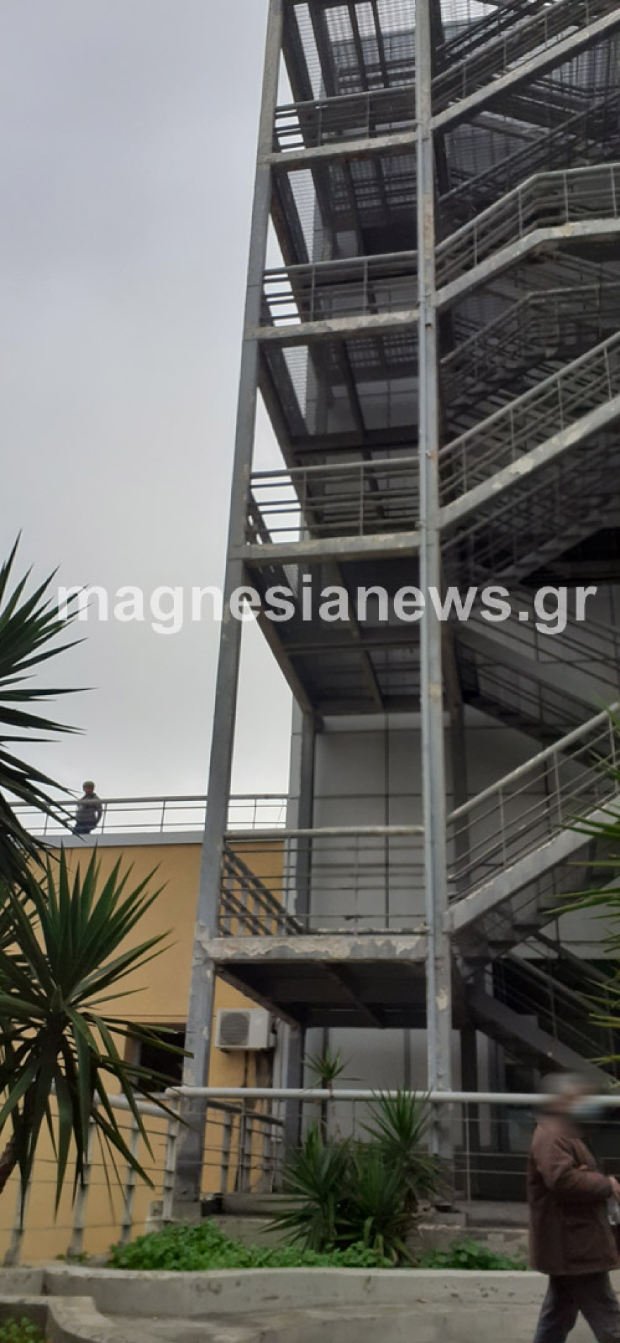 Τραγωδία στον Βόλο: Γιατρός αυτοκτόνησε πέφτοντας από τον 7ο όροφο του «Αχιλλοπούλειου» 