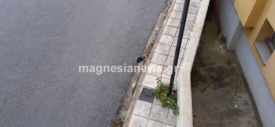 Τραγωδία στον Βόλο: Γιατρός αυτοκτόνησε πέφτοντας από τον 7ο όροφο του «Αχιλλοπούλειου» 