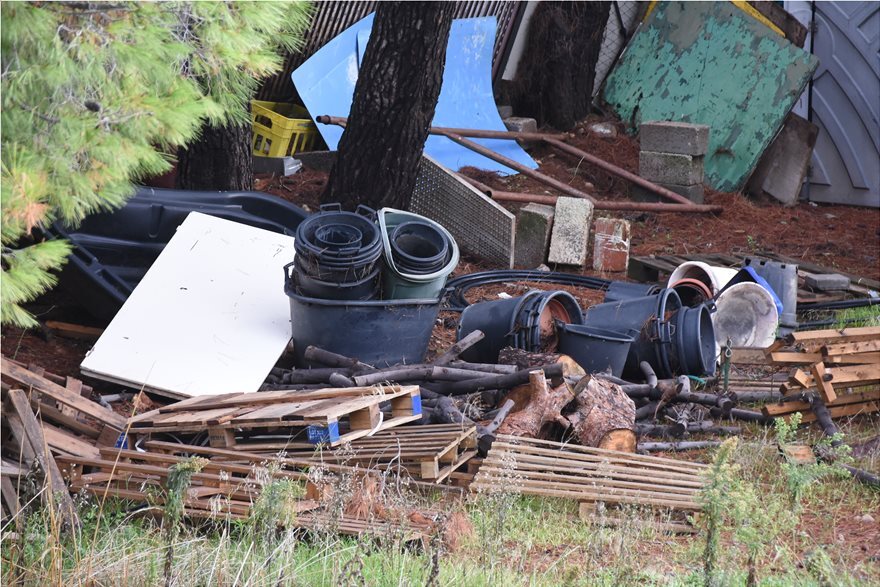 Δεν έχουμε ευθύνη για την εγκατάλειψη στο δάσος Κεφαλαρίου, λέει ο δήμος - Δείχνει το δασαρχείο 