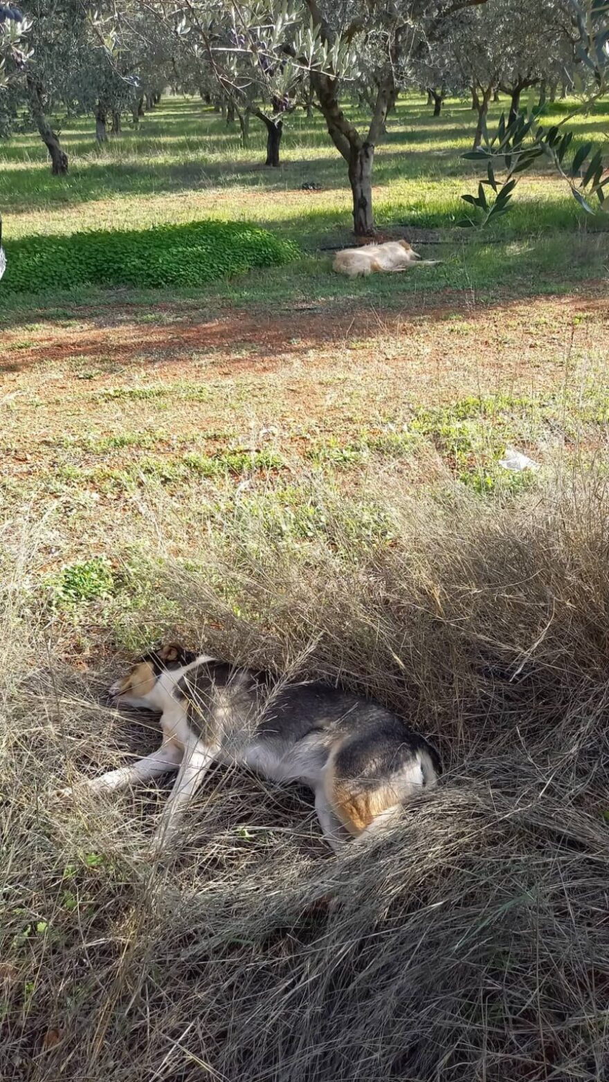 Ο Άγγελος Μπράτης φωτογραφίζει τους γονείς του και τη... ζωή μετά το GNTM 