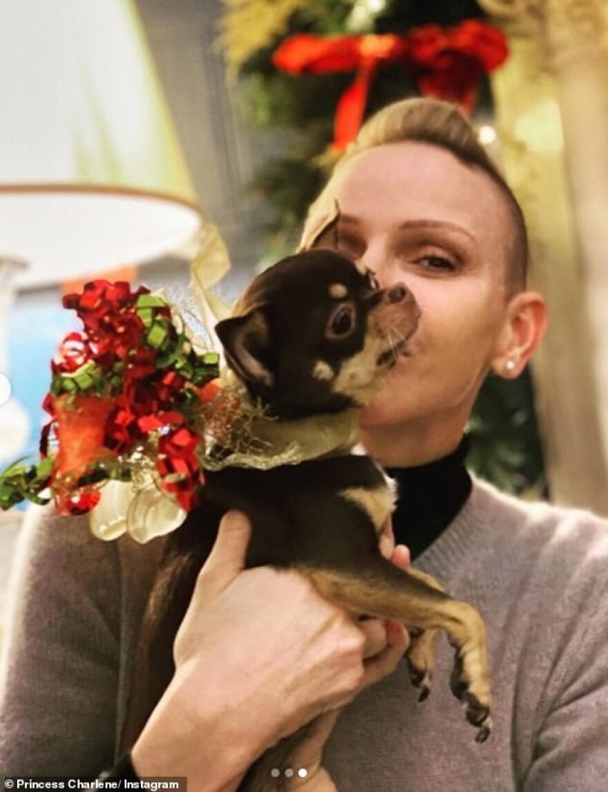 Θλίψη για την πριγκίπισσα Σαρλίν του Μονακό: Μυστηριώδης Βραζιλιάνα ζητά από τον Αλβέρτο να αναγνωρίσει την κόρη τους