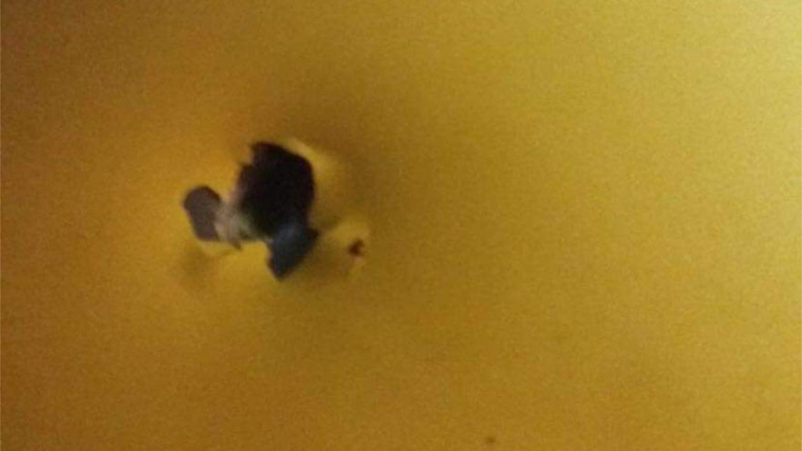 Αδέσποτη σφαίρα σε ταξί στο Μενίδι: «Γλιτώσαμε για λίγα χιλιοστά!», λέει σοκαρισμένος ο οδηγός