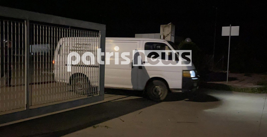 Φρίκη στα Λεχαινά: Σκυλιά κατασπάραξαν φύλακα - Τι είδε η ιατροδικαστής