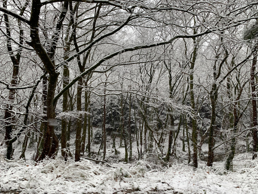 Κακοκαιρία «Λέανδρος»: Στα λευκά η χώρα με τσουχτερό κρύο - Ποιες περιοχές έχουν τα περισσότερα προβλήματα