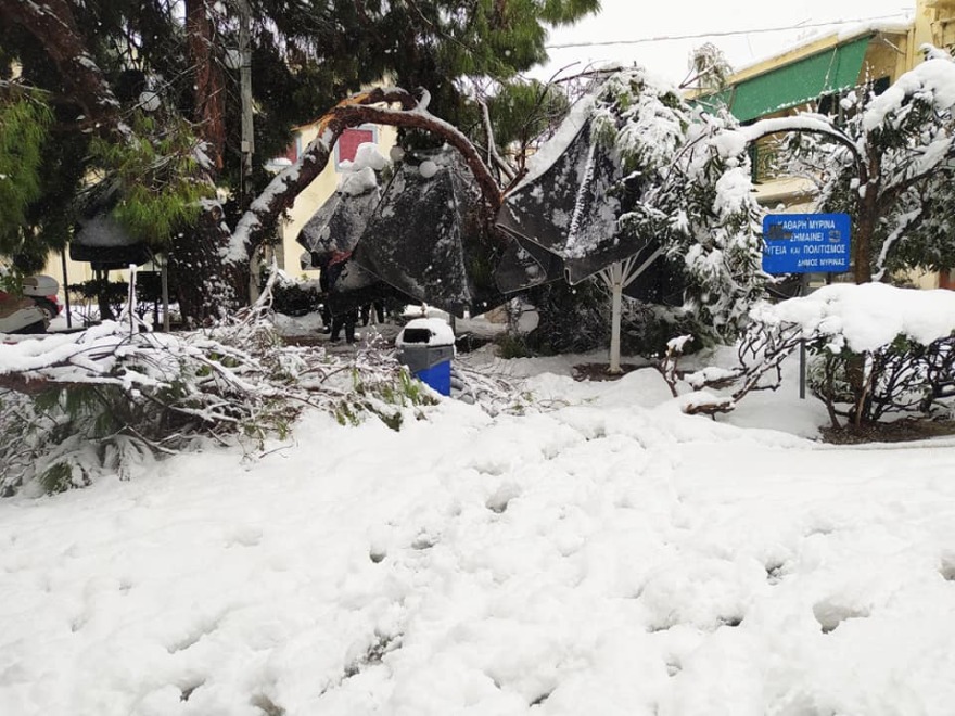 Καιρός:  Ποιες περιοχές θα επηρεάσει σήμερα ο «Λέανδρος» και πού θα είναι κλειστά τα σχολεία