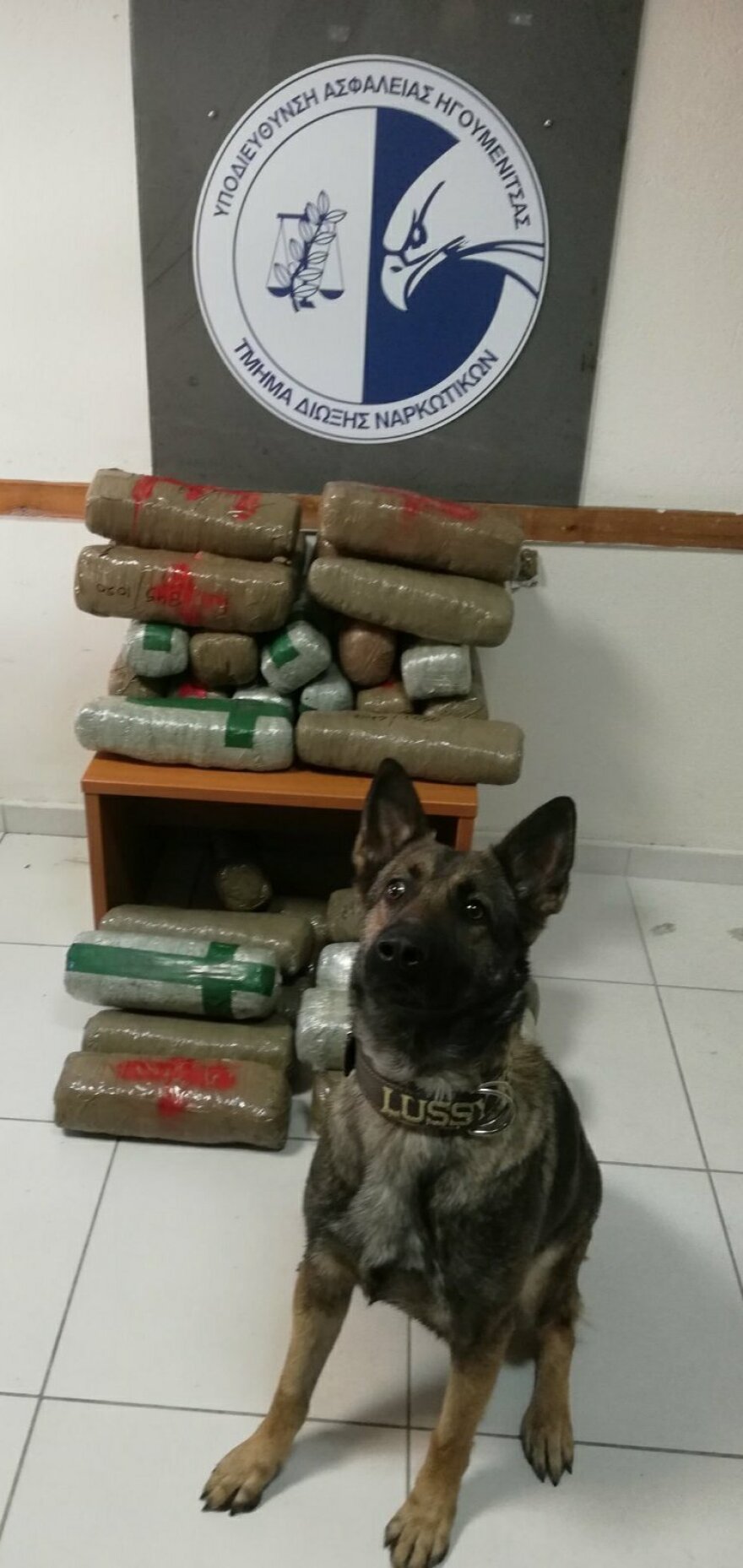 Θεσπρωτία: Η «Λούσι» βρήκε 36 κιλά κάνναβης στο σασί αυτοκινήτου