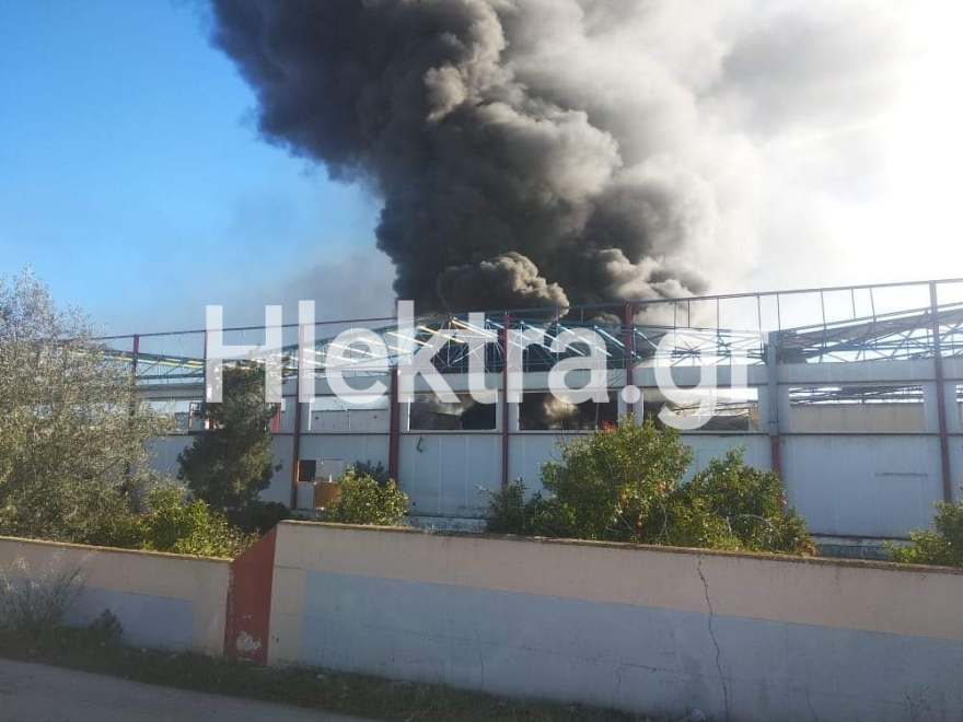 Φωτιά σε συσκευαστήριο στο Ζευγολατιό Κορινθίας - Δείτε εικόνες και βίντεο