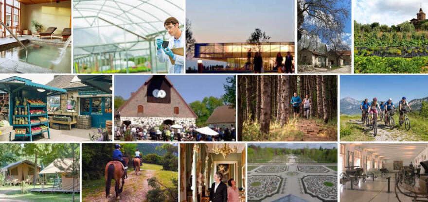 «Πάμε Τατόι»: Το πρώην βασιλικό κτήμα μεταμορφώνεται σε διεθνή προορισμό πολιτισμού και αναψυχής