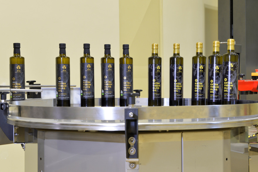 Μυτιλήνη: Η «πράσινη» επένδυση με τις 40.000 ελιές που έδωσε ζωή στον τόπο