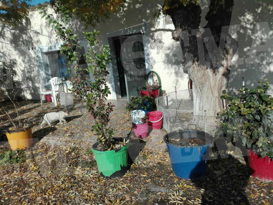 Αγροτικές φυλακές Κασσαβέτειας: Εδώ «έμενε» ο Κουφοντίνας - Δείτε φωτογραφίες