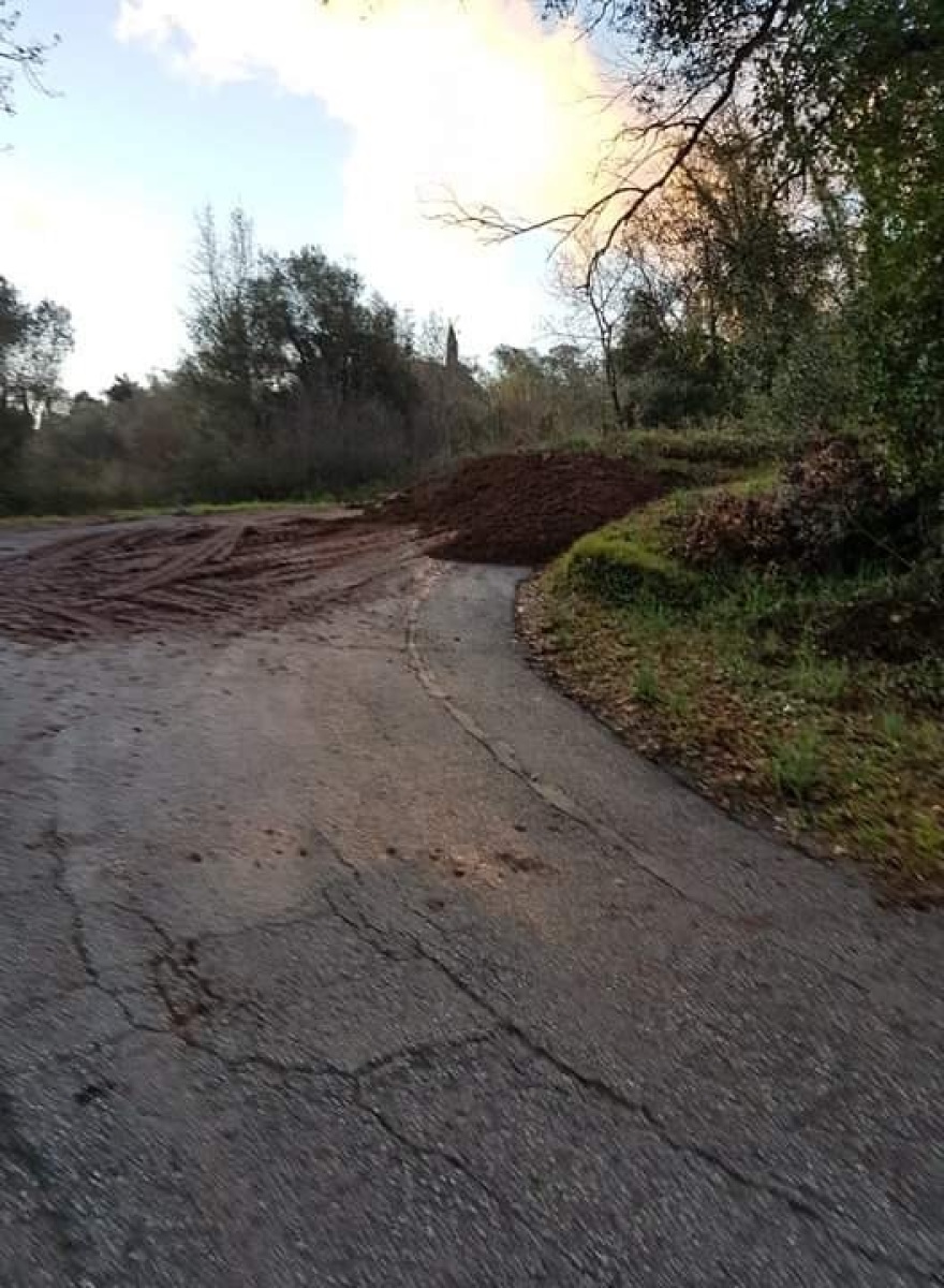 Κέρκυρα: Πτώσεις δέντρων και διακοπές ρεύματος από την κακοκαιρία