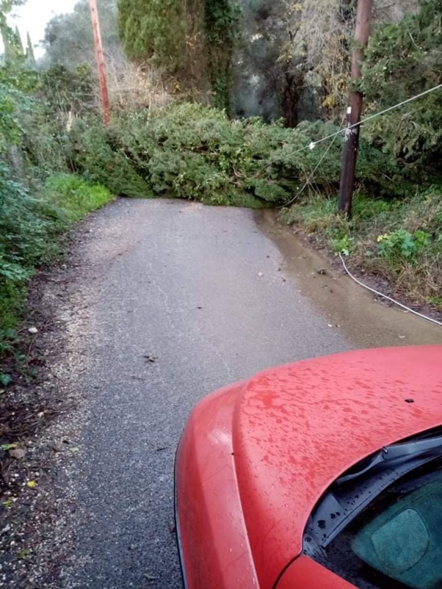 Κέρκυρα: Πτώσεις δέντρων και διακοπές ρεύματος από την κακοκαιρία