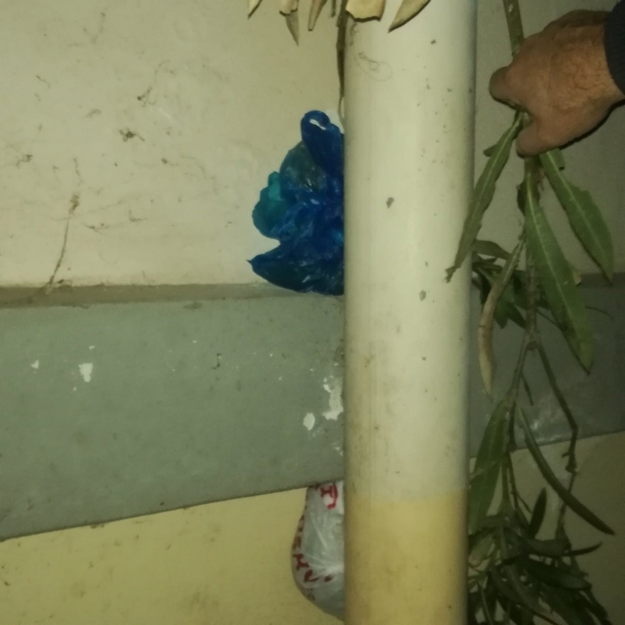 Εξαρθρώθηκε συμμορία που διακινούσε ναρκωτικά στην Πανεπιστημιούπολη - Τα έκρυβαν σε δέντρα και υδρορροές!