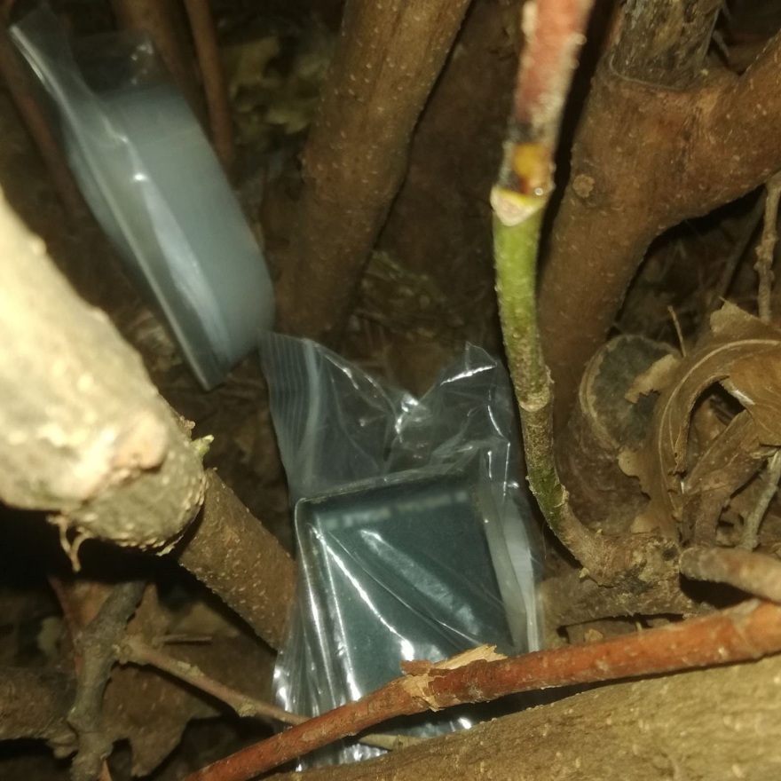 Εξαρθρώθηκε συμμορία που διακινούσε ναρκωτικά στην Πανεπιστημιούπολη - Τα έκρυβαν σε δέντρα και υδρορροές!