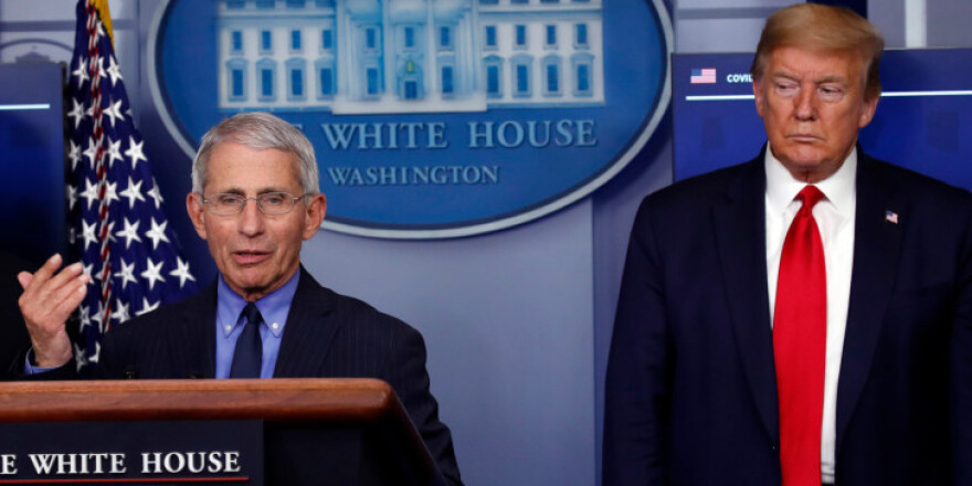 Φάουτσι: Έγινε σάκος του μποξ, τον απείλησαν για τη ζωή του αλλά έχει ετήσια αμοιβή... 417.608 δολάρια