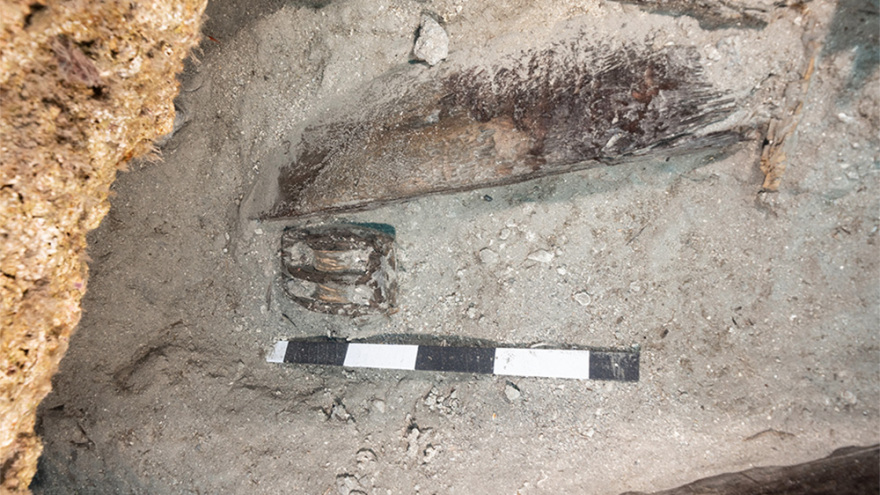 Μέντωρ: Εντυπωσιακές εικόνες από το ναυάγιο στα Κύθηρα με τα κλεμμένα του Έλγιν