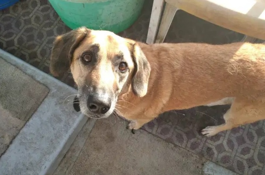 Θρίλερ με τον Βρετανό που βρέθηκε νεκρός σε βυθισμένο σκάφος στην Κρήτη - Δολοφονία υποπτεύεται η οικογένειά του