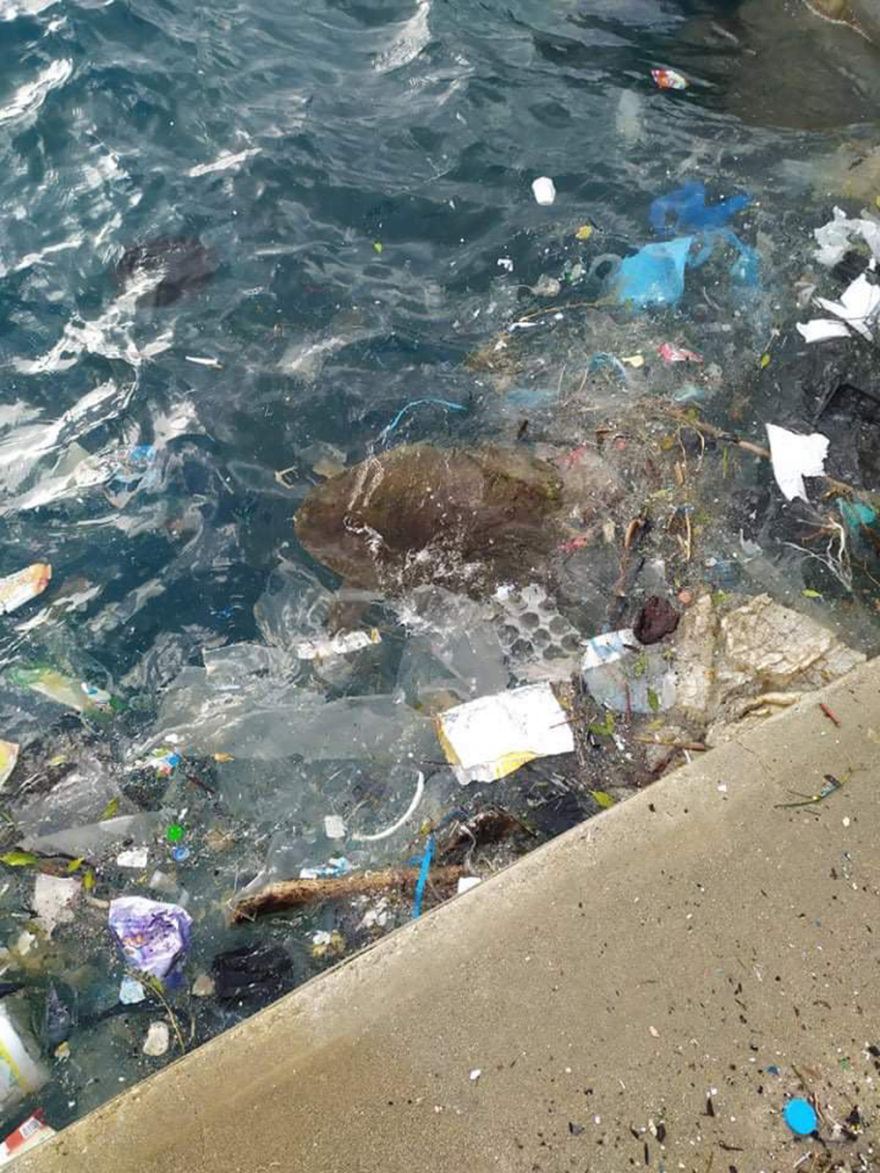 Λέρος: Εντοπίστηκε τραυματισμένη καρέτα - καρέτα στο λιμάνι - Δείτε βίντεο