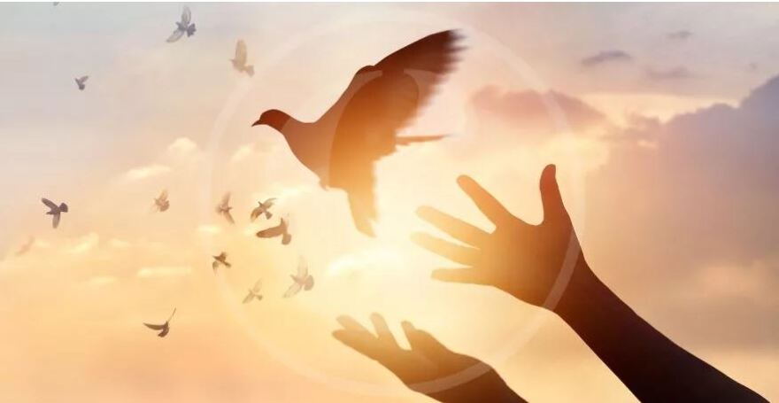 Χριστίνα Πολίτη: Το εξομολογητικό της κείμενο με τίτλο «Η δύναμη της συγνώμης»