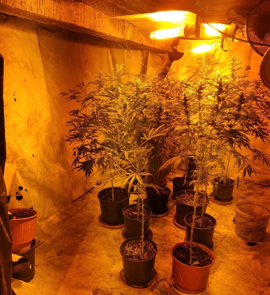 Σέρρες: Η ντουλάπα οδηγούσε σε υπόγειο φυτώριο κάνναβης