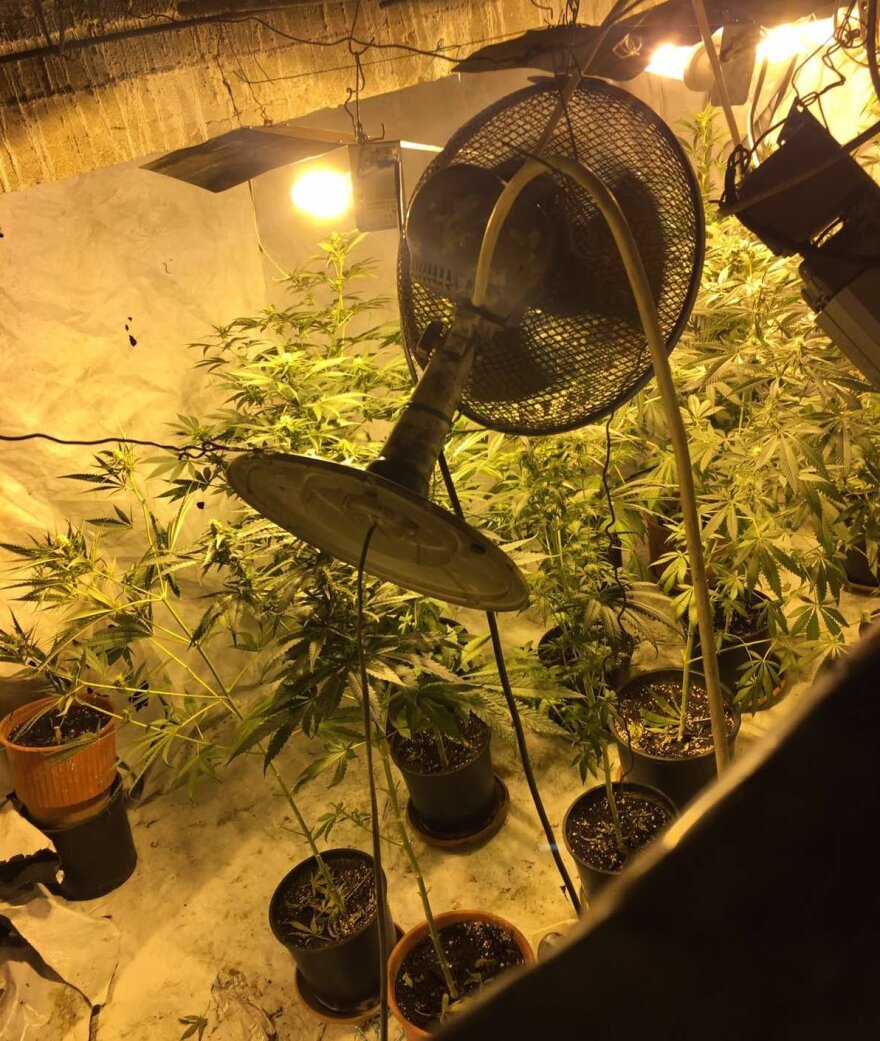 Σέρρες: Η ντουλάπα οδηγούσε σε υπόγειο φυτώριο κάνναβης