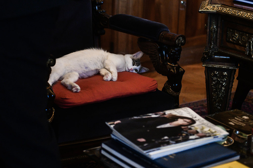 Η γατούλα της Σακελλαροπούλου έκανε «κατάληψη» στο Προεδρικό Μέγαρο