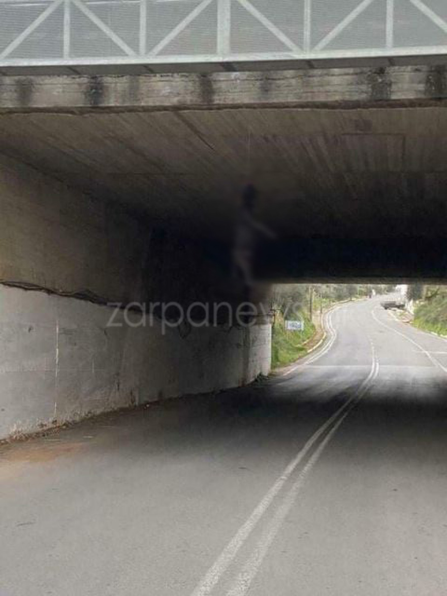 Κρήτη - Οργή στη φιλοζωική ομοσπονδία για τη νέα κτηνωδία: Κρέμασαν σκύλο σε γέφυρα