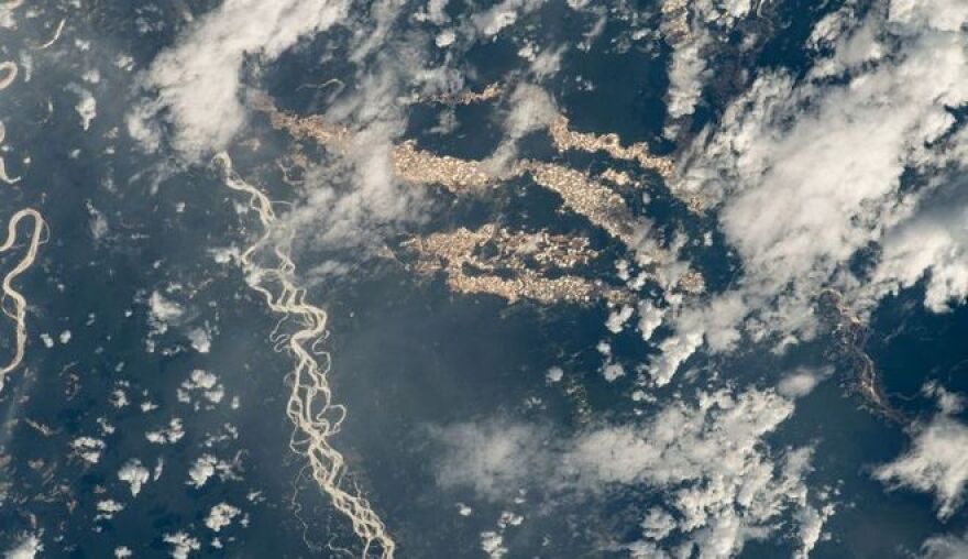 NASA: Τα «ποτάμια χρυσού» του Αμαζονίου σε μία σπάνια φωτογραφία