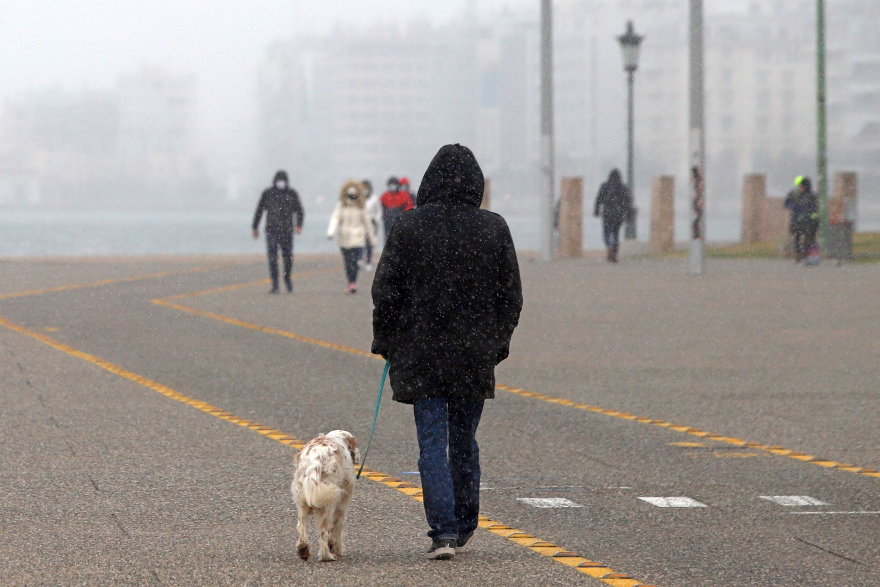 Κακοκαιρία «Μήδεια»: Χιόνια και στα βόρεια προάστια της Αθήνας μετά το απόγευμα - Στα λευκά η χώρα