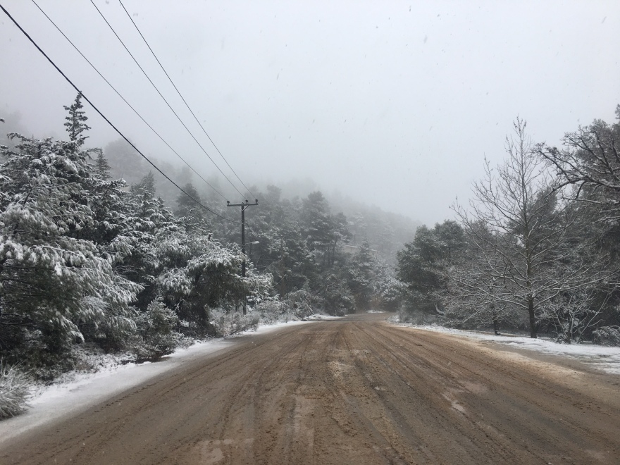 Κακοκαιρία «Μήδεια»: Χιόνια και στα βόρεια προάστια της Αθήνας μετά το απόγευμα - Στα λευκά η χώρα