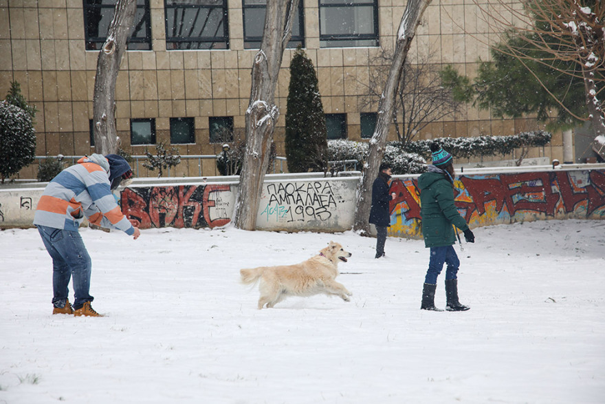 Η «Μήδεια» δεν κράτησε τους ερωτευμένους μακριά από ζαχαροπλαστεία και ανθοπωλεία στη Θεσσαλονίκη