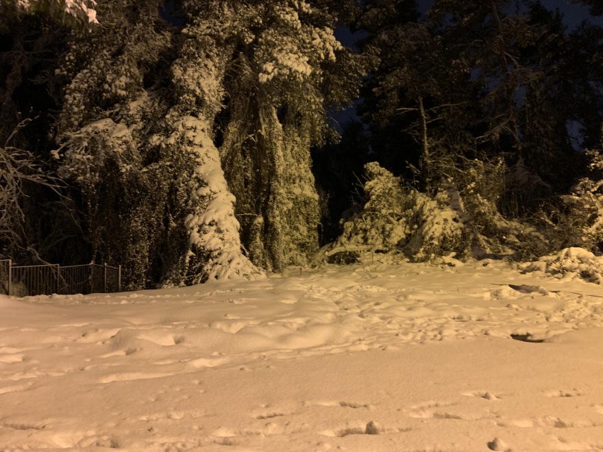 Κακοκαιρία «Μήδεια»: Δύσκολη νύχτα με ισχυρές χιονοπτώσεις - Χιόνια σε όλη τη Αθήνα