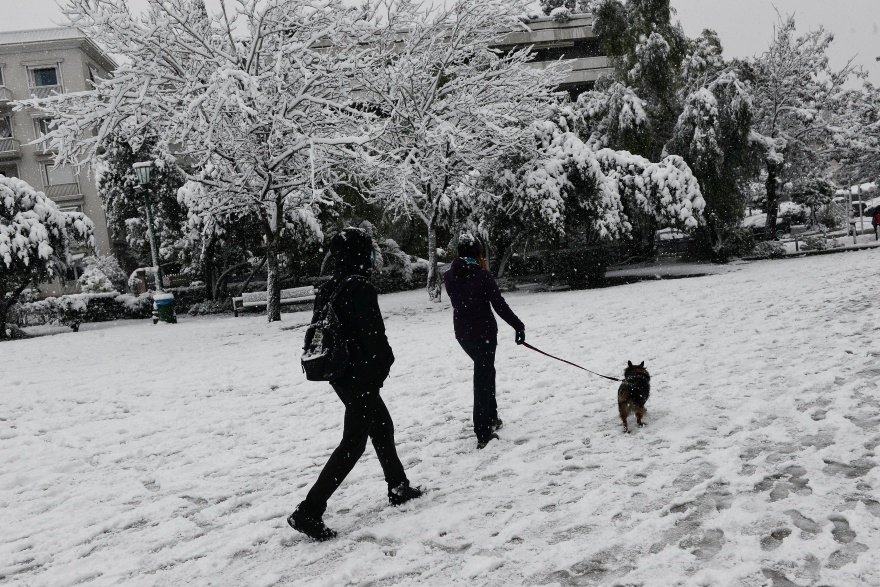 Μήδεια - Οδοιπορικό στο κέντρο της Αθήνας: Δείτε την πρωτεύουσα ντυμένη στα λευκά