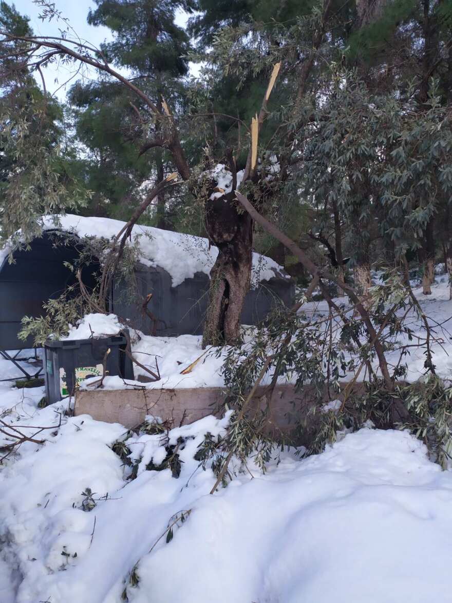 ΛΑΡΚΟ: Κατέρρευσε η οροφή - Εκτός λειτουργίας το εργοστάσιο