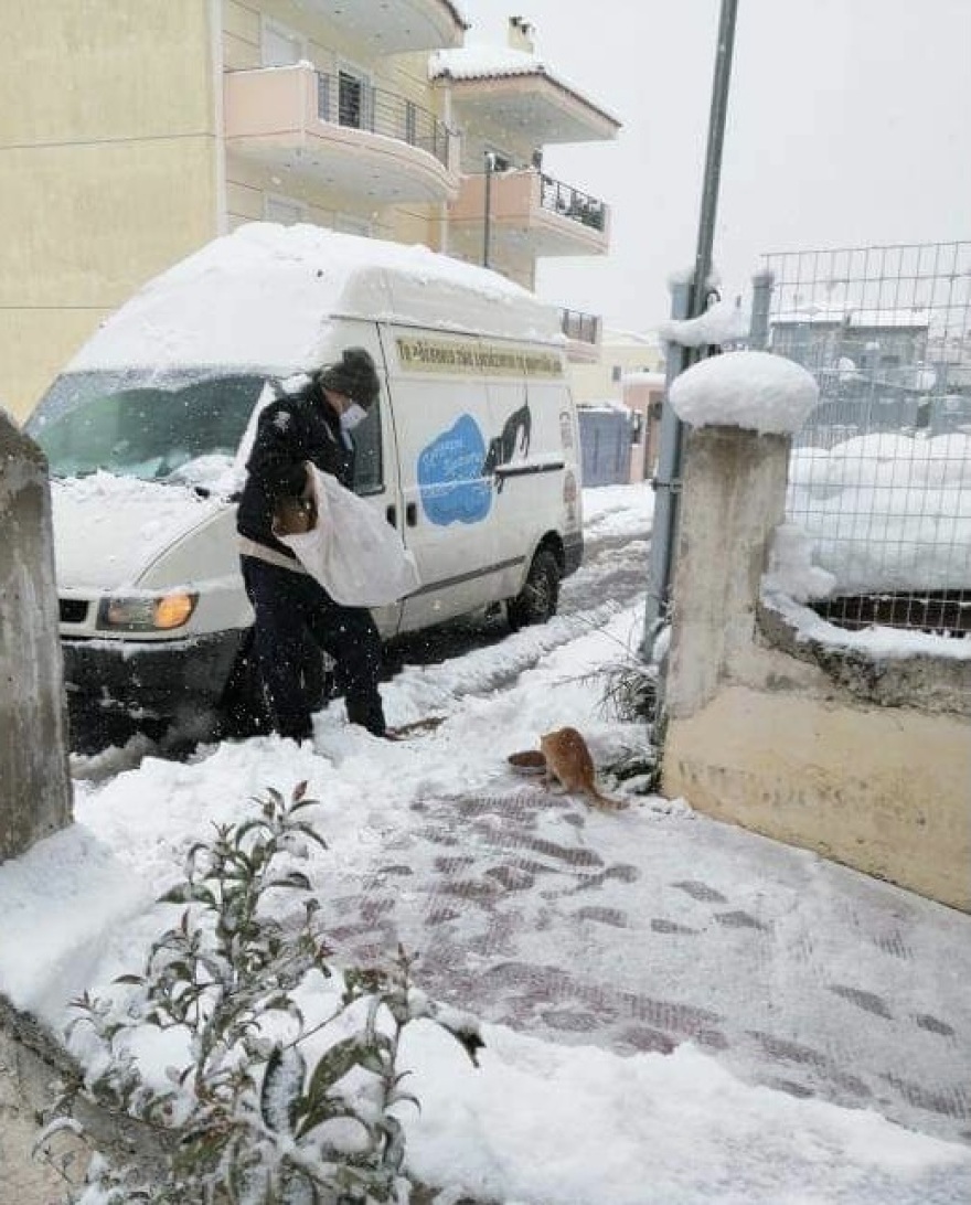 Δήμος Αθηναίων: 37 μηχανήματα επιχειρούν για τον καθαρισμό των δρόμων από το χιόνι
