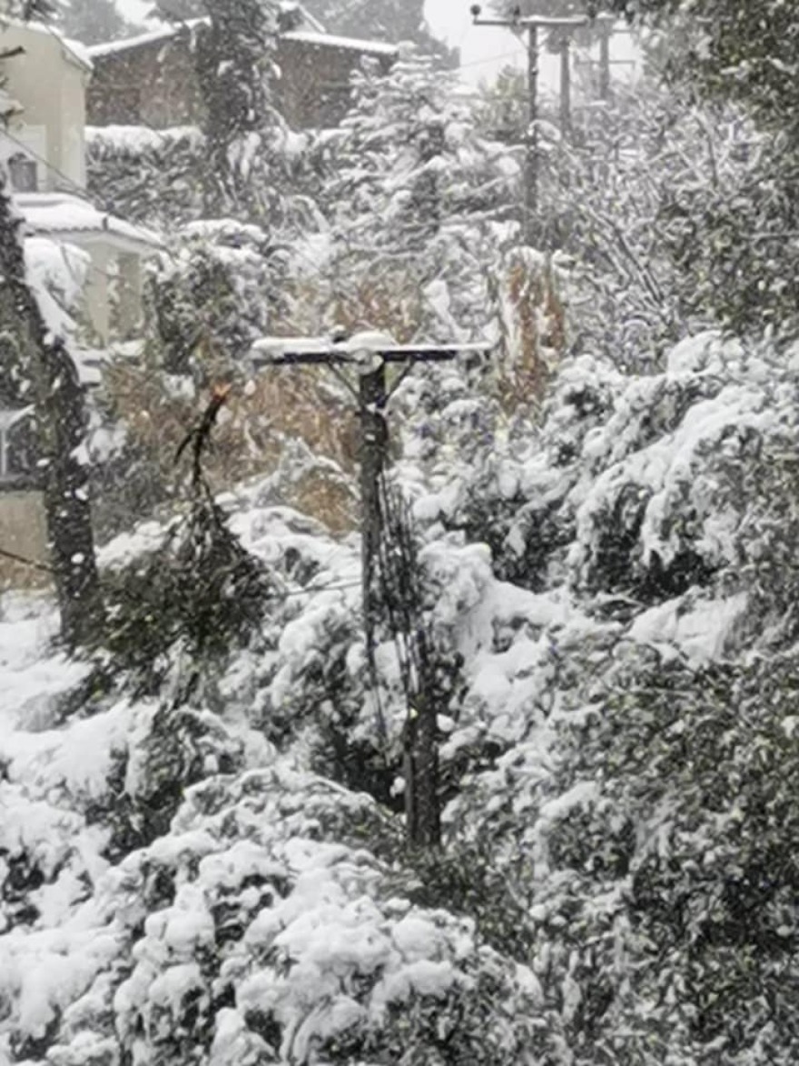 Καρέ-καρέ οι μάχες ενάντια στις διακοπές ρεύματος από τους εναερίτες της ΔΕΗ