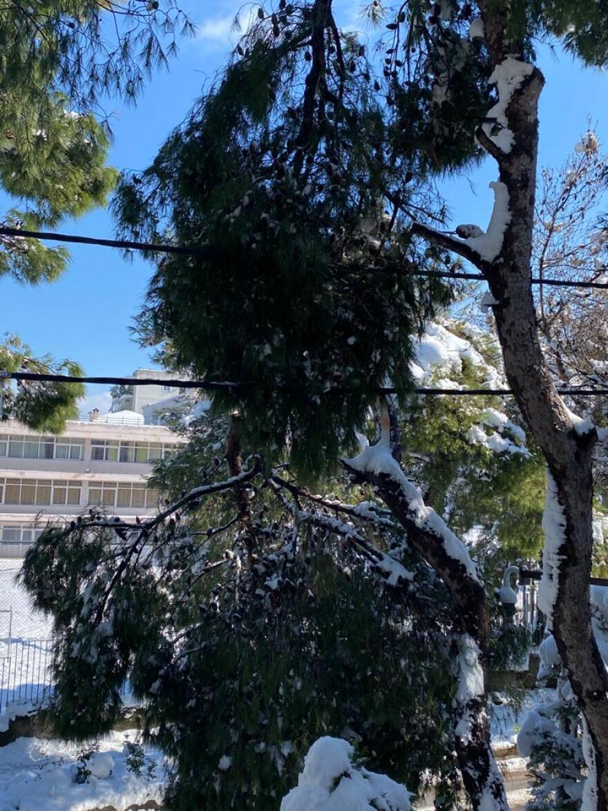 Κακοκαιρία «Μήδεια»: Για τρίτη μέρα χωρίς ρεύμα νοικοκυριά στην Αττική - Δείτε τις περιοχές που αντιμετωπίζουν προβλήματα