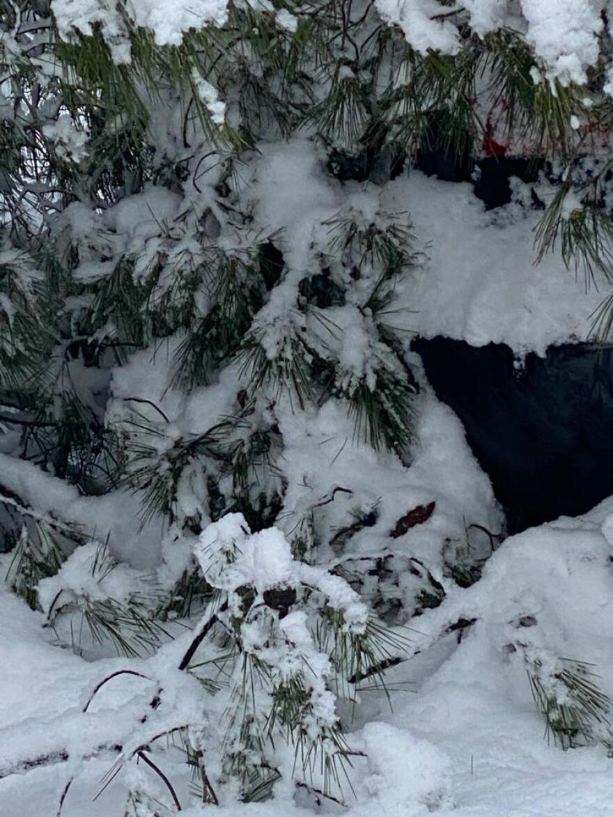 Κακοκαιρία «Μήδεια»: Για τρίτη μέρα χωρίς ρεύμα νοικοκυριά στην Αττική - Δείτε τις περιοχές που αντιμετωπίζουν προβλήματα