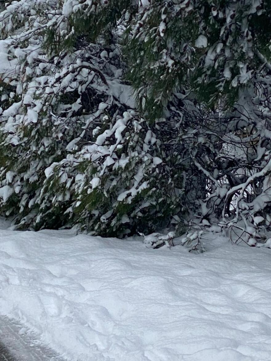 Κακοκαιρία «Μήδεια»: Για τρίτη μέρα χωρίς ρεύμα νοικοκυριά στην Αττική - Δείτε τις περιοχές που αντιμετωπίζουν προβλήματα