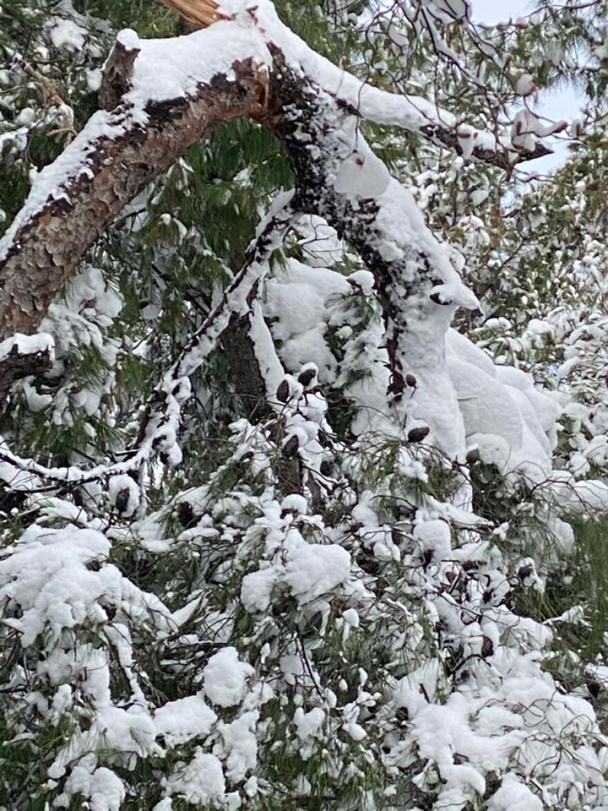 Κακοκαιρία «Μήδεια»: Για τρίτη μέρα χωρίς ρεύμα νοικοκυριά στην Αττική - Δείτε τις περιοχές που αντιμετωπίζουν προβλήματα